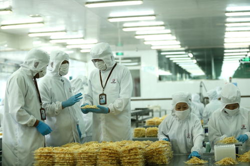 檢測服務為翼，助力山東即墨企業振翅高飛
